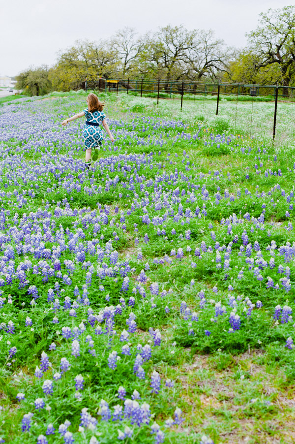 austin bluebonnet photographer